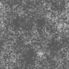 Sharp Black Gravel with Water PBR Texture - Image 5
