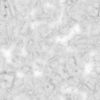 Tire Tracks on Dirt with Water PBR Texture - Image 3