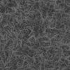 Tree Roots PBR Texture - Image 4