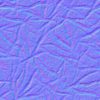 Tree Roots PBR Texture - Image 7