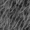 Tree Roots PBR Texture - Image 4