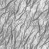 Tree Roots PBR Texture - Image 9