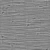 Beige Sculpting Clay PBR Texture - Image 5