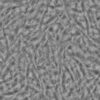 Beige Sculpting Clay PBR Texture - Image 5