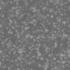 Burnt Old Paper PBR Texture - Image 9