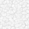 Cracked Beige Clay Ground PBR Texture - Image 3