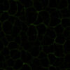 Green Crystal PBR Texture - Image 4