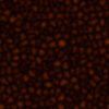 Orange Crystal PBR Texture - Image 4