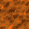 Orange Crystal PBR Texture - Image 2