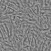 Orange Sculpting Clay PBR Texture - Image 5