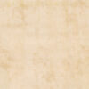 Papyrus PBR Texture - Image 2