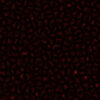 Red Crystal PBR Texture - Image 4