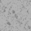 Scratched Beige Clay PBR Texture - Image 4