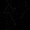 Scratches Imperfection (IM14) - Image 8