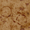 Stained Old Cardboard PBR Texture - Image 2