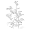 Meadow Plant - Image 2