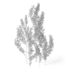 Meadow Plant (Goldenrod) - Image 2