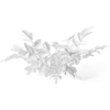 Meadow Plant (Silverweed) - Image 2