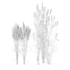 Meadow Plant (Tall Grass) - Image 2