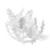 Meadow Plant (Yarrow) - Image 2