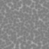 White Cellular Wall Panel (4880) - Image 6
