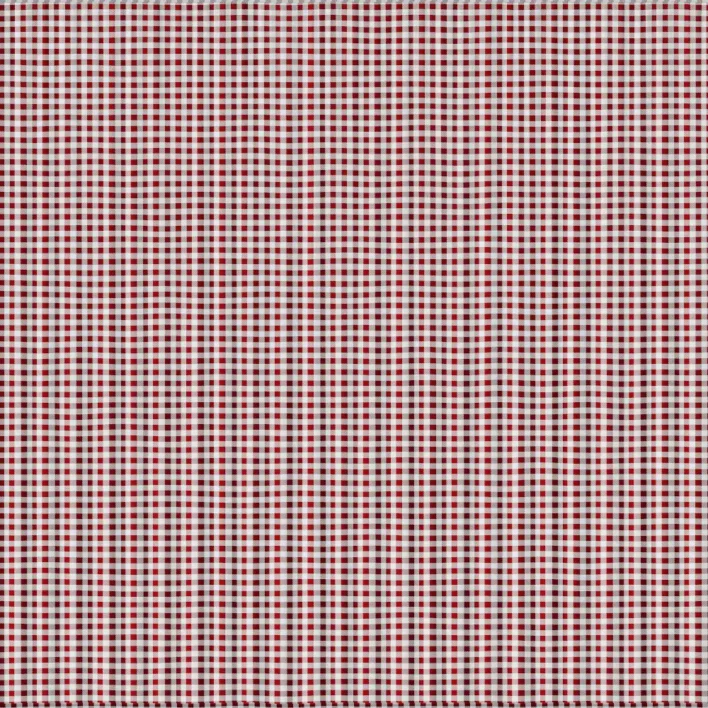 Checkered Red And White Curtains