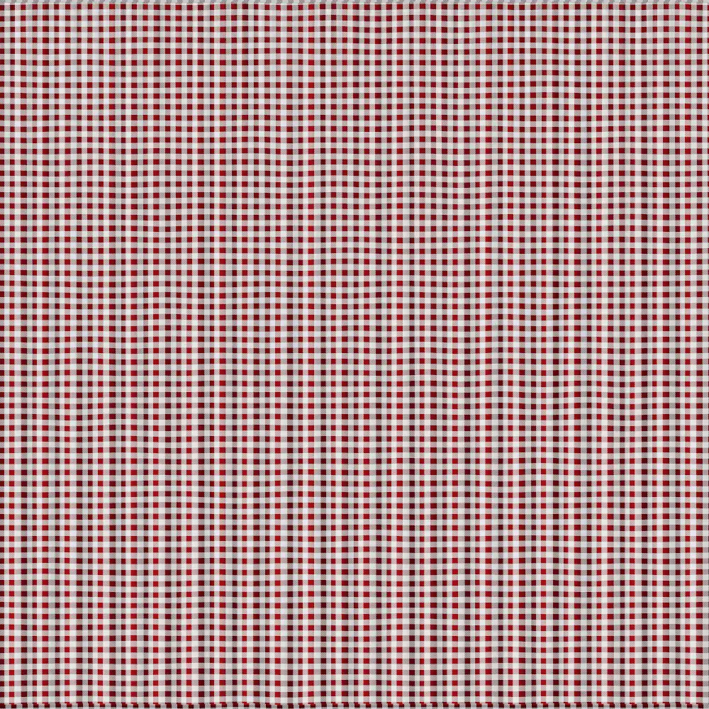 Checkered Red And White Curtains