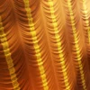 Orange And Gold Wrinkled Curtains (5073) - Image 2