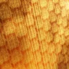 Patterned Orange And Gold Curtains (5059) - Image 2