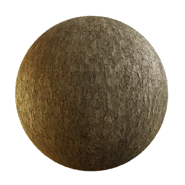 Himalayan Dogwood Bark (5124)