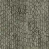 Himalayan Dogwood Bark (5126) - Image 4