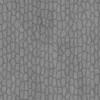 Himalayan Dogwood Bark (5126) - Image 5