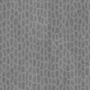 Himalayan Dogwood Bark (5126) - Image 11