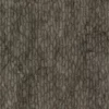 Himalayan Dogwood Bark (5127) - Image 4