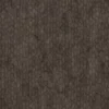 Himalayan Dogwood Bark (5128) - Image 4