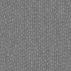 Himalayan Dogwood Bark (5128) - Image 6