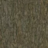 Japanese Alder Bark (5118) - Image 4