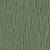 Manchurian Maple Bark (5120) - Image 4