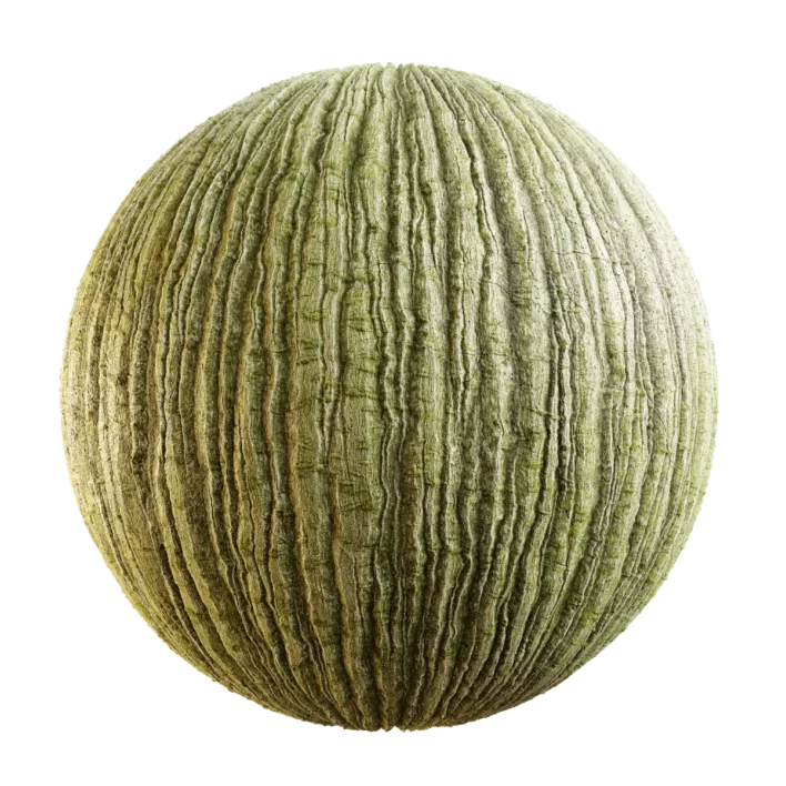 Manchurian Maple Bark (5121)