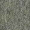 Manchurian Maple Bark (5123) - Image 4