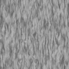 Manchurian Maple Bark (5123) - Image 6