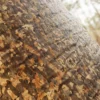 Oriental Plane Bark (5131) - Image 2