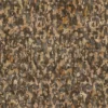 Oriental Plane Bark (5131) - Image 4