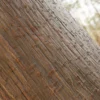 Pink Silk Tree Bark (5112) - Image 2