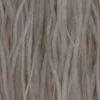 Sacred Fig Bark (5102) - Image 4