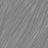 Sacred Fig Bark Twisted (5104) - Image 11