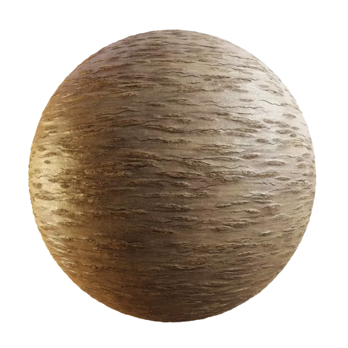 Young Japenese Cherry Bark (5109)