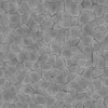 Chinese White Pine Bark (5149) - Image 6