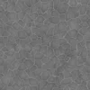 Chinese White Pine Bark (5149) - Image 11