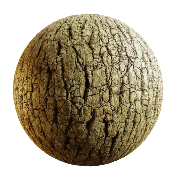 Chinese White Pine Bark (5150)